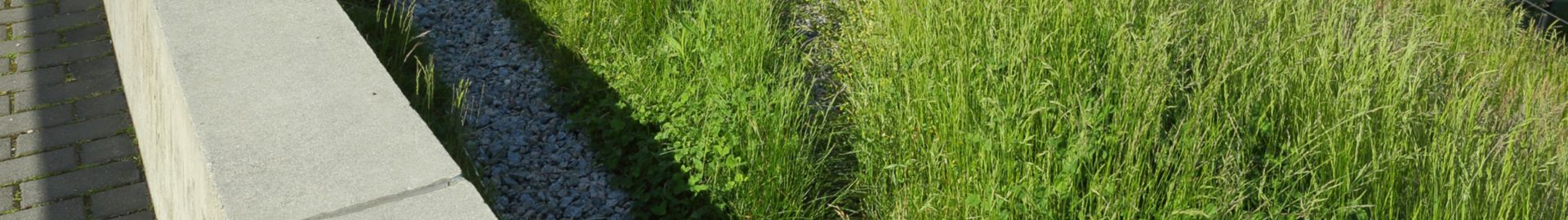 découvrez les nombreux avantages d'un toit végétal : amélioration de l'isolation thermique, réduction des nuisances sonores, valorisation esthétique de votre espace, et bénéfices pour la biodiversité. adoptez cette solution écologique pour un habitat durable et respectueux de l'environnement.