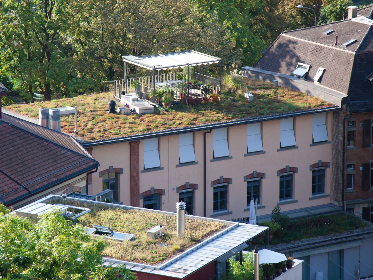 découvrez les nombreux avantages des toits végétaux : amélioration de l'isolation thermique, réduction des îlots de chaleur urbains, bénéfices pour la biodiversité et esthétique naturelle. adoptez une solution écologique pour un habitat durable et écoresponsable.