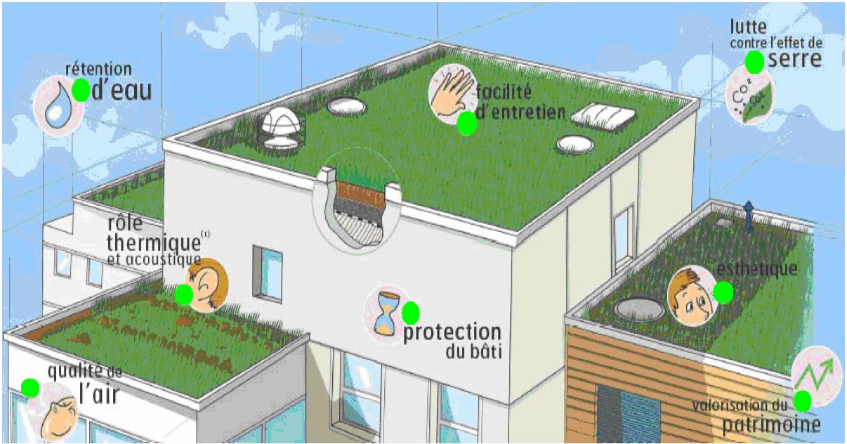 découvrez les nombreux avantages des toits photovoltaïques végétaux : un choix écologique qui combine production d'énergie renouvelable et amélioration du cadre de vie. apprenez comment ils contribuent à l'isolation thermique, à la biodiversité urbaine et à la réduction des îlots de chaleur.