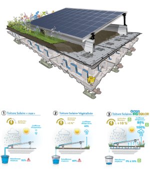 découvrez les nombreux avantages des toits photovoltaïques végétaux, une solution innovante qui allie écologie et performance énergétique. apprenez comment cette technologie durable contribue à la réduction des factures d'énergie, améliore l'isolation thermique et biologique de votre bâtiment et valorise votre espace tout en préservant l'environnement.