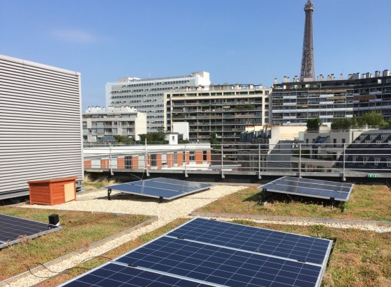 découvrez les nombreux avantages des toitures photovoltaïques : un geste écoresponsable, des économies sur vos factures d'électricité, une valorisation de votre patrimoine immobilier et une réduction de votre empreinte carbone. optez pour une énergie durable et participez à la transition énergétique tout en préservant l'environnement.