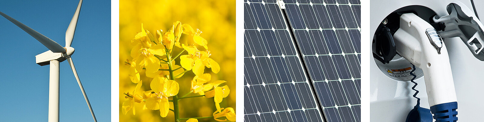 découvrez comment l'avenir de l'énergie durable façonne notre planète. explorez les innovations, les technologies vertes et les solutions écologiques qui promettent de transformer nos modes de vie et de garantir un avenir plus propre et plus soutenable.