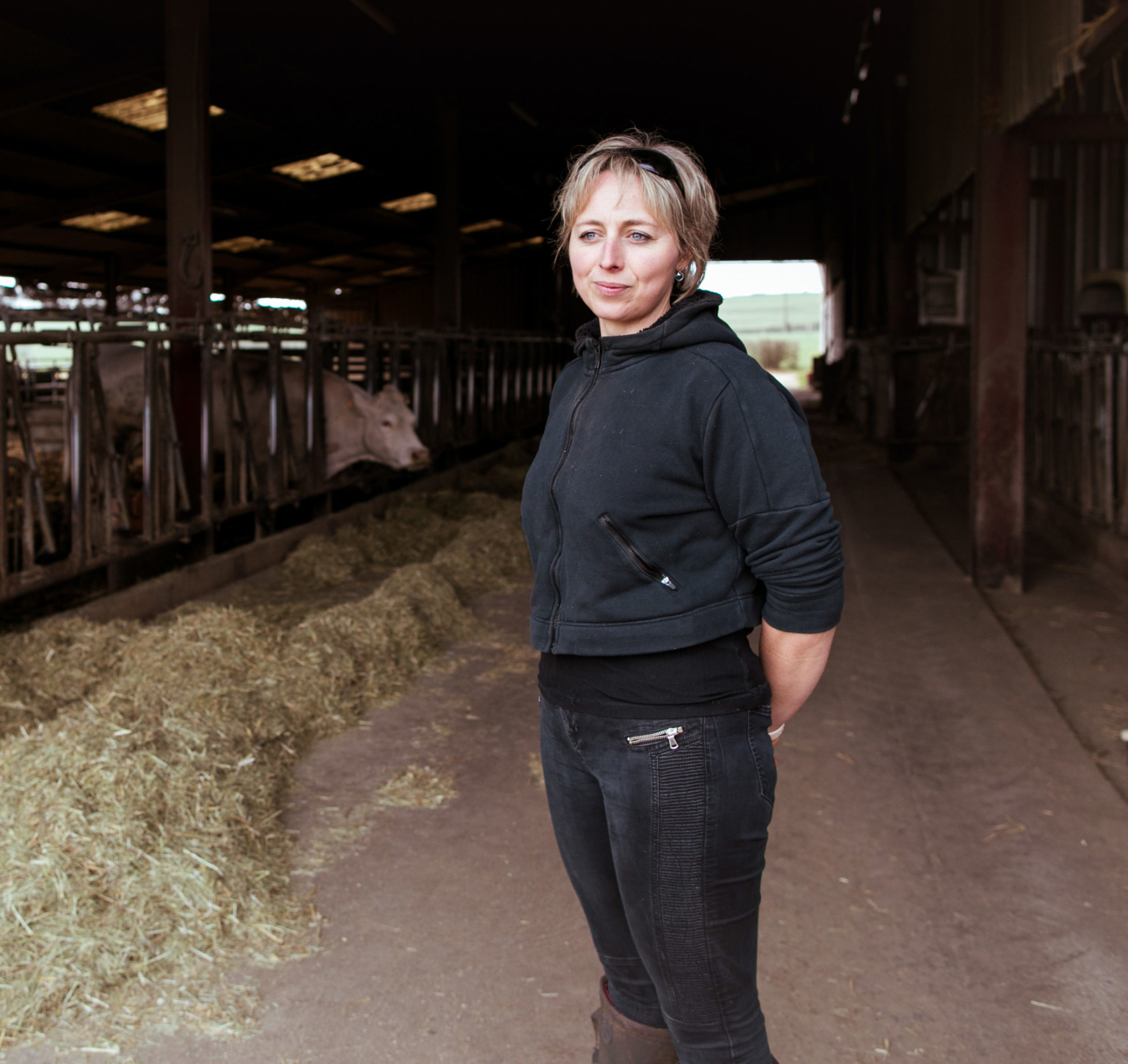 découvrez notre analyse approfondie des avis sur irisolaris, une plateforme innovante dédiée aux énergies renouvelables. explorez les retours d'expérience des utilisateurs, les avantages et les inconvénients, ainsi que notre évaluation globale pour vous aider à faire un choix éclairé.