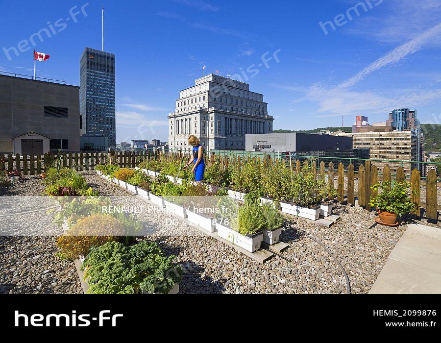 découvrez toit province, votre expert en couverture et aménagement de toits. profitez de nos services personnalisés pour des solutions durables et esthétiques adaptés à vos besoins. contactez-nous dès aujourd'hui pour un devis gratuit !