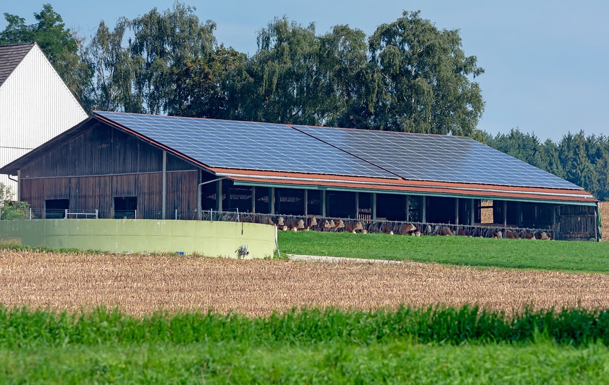 découvrez les avantages des bâtiments agricoles photovoltaïques : une solution durable pour produire de l'énergie renouvelable tout en optimisant l'utilisation des espaces. transformez votre exploitation avec une installation photovoltaïque adaptée à vos besoins.