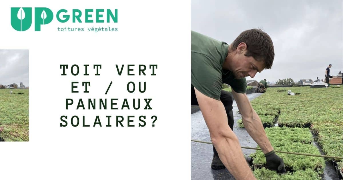 découvrez les avantages des toits végétaux solaires, une solution innovante pour allier écologie et économie d'énergie. apportez une touche verte à votre habitat tout en produisant de l'énergie renouvelable.