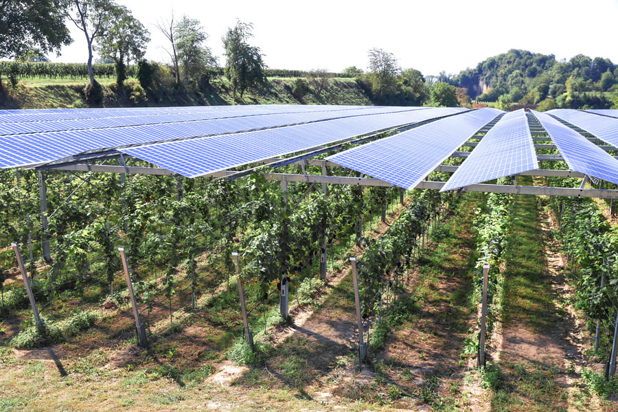 découvrez comment les bâtiments solaires révolutionnent l'agriculture durable en alliant innovation écologique et technologies respectueuses de l'environnement. explorez des solutions qui maximisent l'efficacité énergétique tout en favorisant une agriculture responsable et durable.