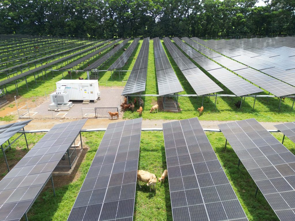 découvrez comment les bâtiments solaires transforment l'agriculture durable en optimisant l'utilisation de l'énergie renouvelable. explorez les avantages pratiques de cette synergie entre technologie et écologie pour une production agricole respectueuse de l'environnement.