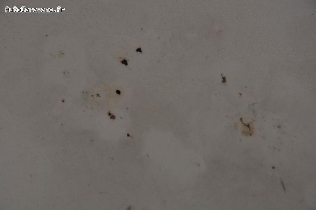 découvrez nos conseils et astuces pour choisir un boucher toit de qualité. apprenez les meilleures pratiques pour l'entretien et la réparation de votre toit, garantissant une meilleure durabilité et protection de votre maison.