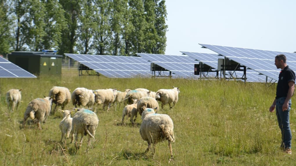 découvrez les cas photovoltaïques, des solutions innovantes et durables pour la production d'énergie solaire. explorez les témoignages, études et projets inspirants qui illustrent l'impact positif des installations photovoltaïques sur l'environnement et l'économie.