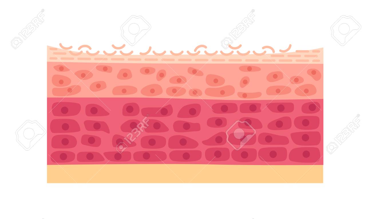découvrez tout sur la cellule sèche, une technologie de stockage d'énergie éco-responsable qui offre durabilité et performance. apprenez comment elle fonctionne, ses avantages et ses applications dans divers domaines.