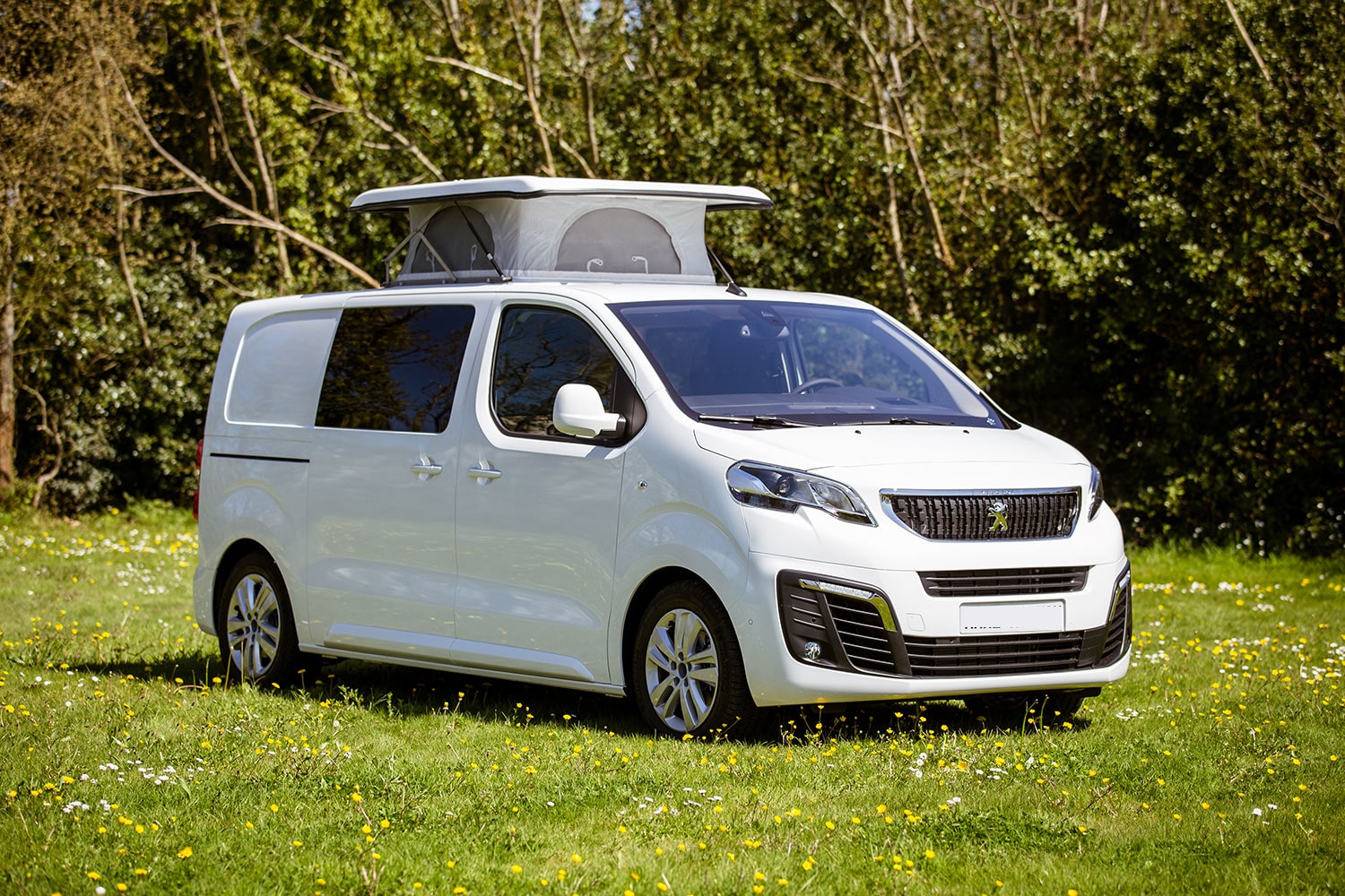 découvrez les champignons uniques à déguster lors de votre prochain camping-car. explorez les meilleures variétés, astuces de préparation et lieux de récolte pour une expérience culinaire inoubliable en pleine nature.