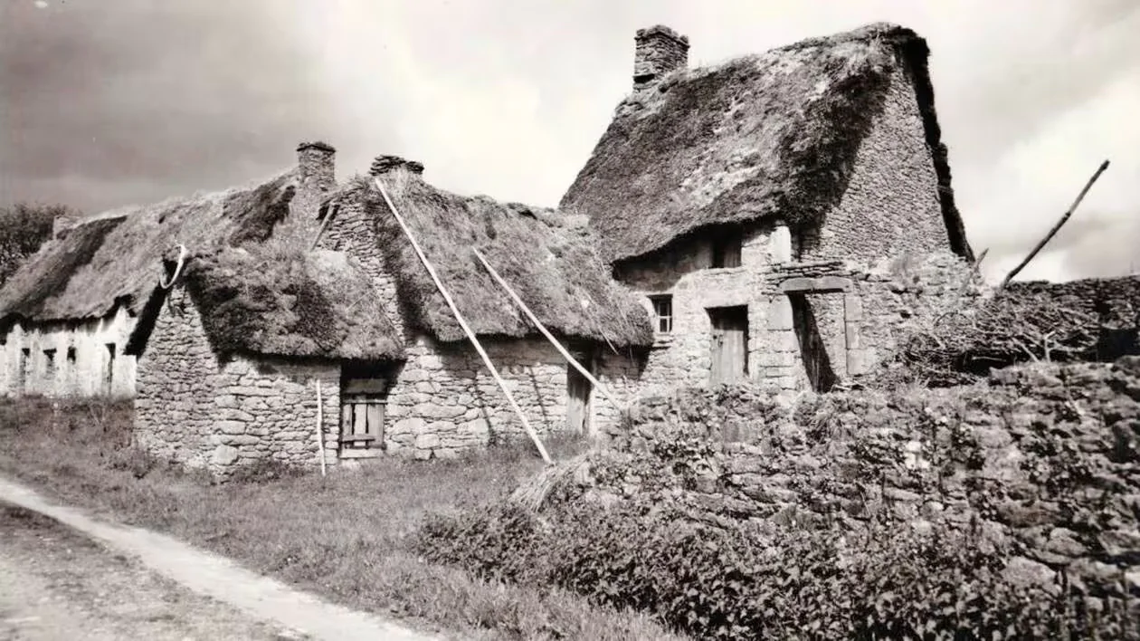 découvrez la beauté des chaumes en bretagne, des paysages uniques où nature et traditions se rencontrent. explorez les richesses culturelles et les activités de plein air offertes par ces espaces préservés, pour une expérience authentique au cœur de la bretagne.