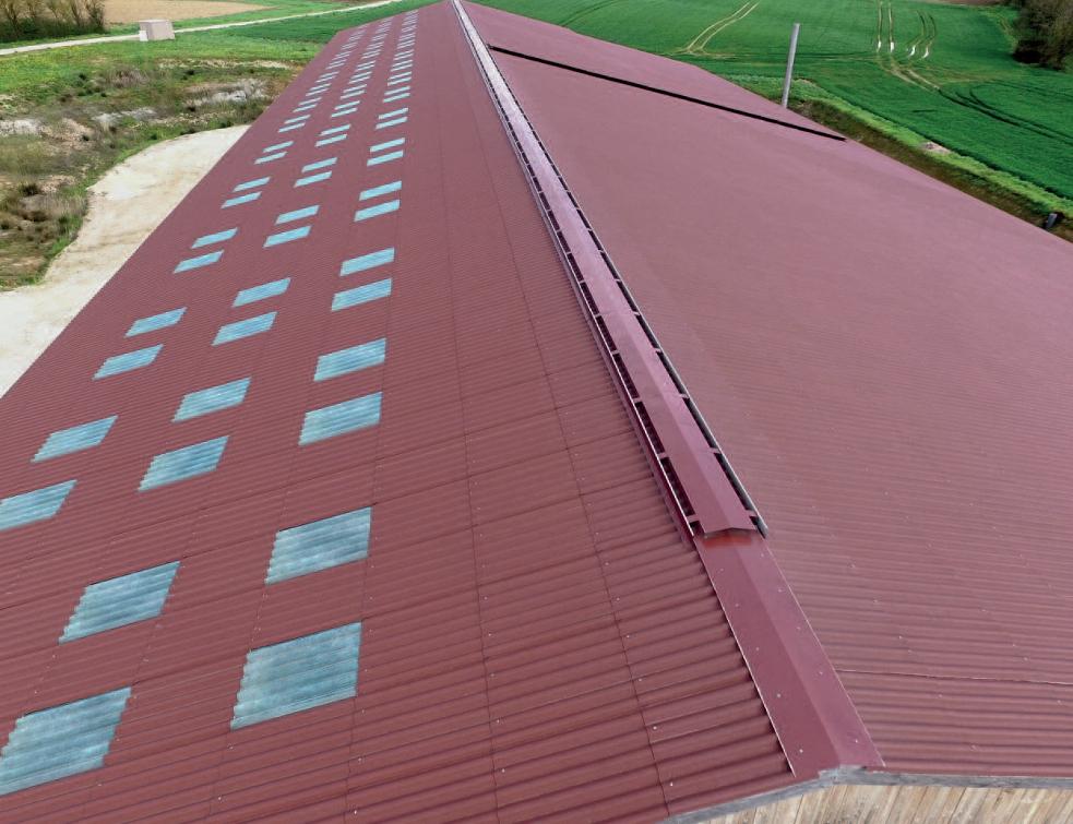 découvrez notre service professionnel de pose de plaques de toit, offrant une solution durable et esthétique pour vos projets de couverture. bénéficiez de notre expertise et de matériaux de qualité pour protéger votre maison des intempéries tout en améliorant son apparence.