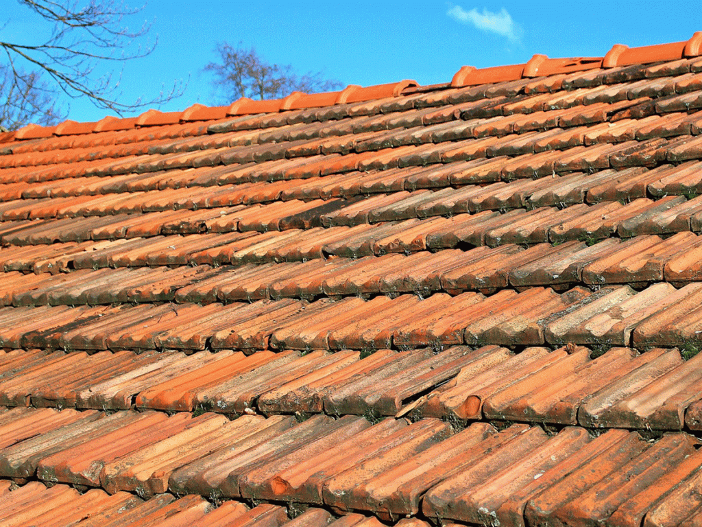 découvrez nos solutions innovantes pour la rénovation et l'entretien de votre toit. offrez à votre maison une protection optimale et un style inégalé avec nos services de qualité.