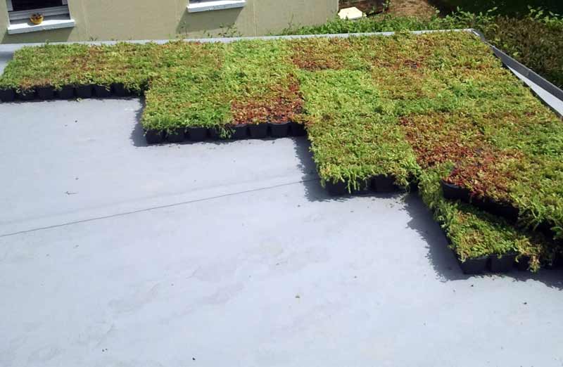 découvrez le coût moyen du mètre carré pour l'aménagement d'un toit-terrasse. informez-vous sur les matériaux, la main-d'œuvre et les facteurs influençant le prix pour réaliser votre projet d'extérieur.