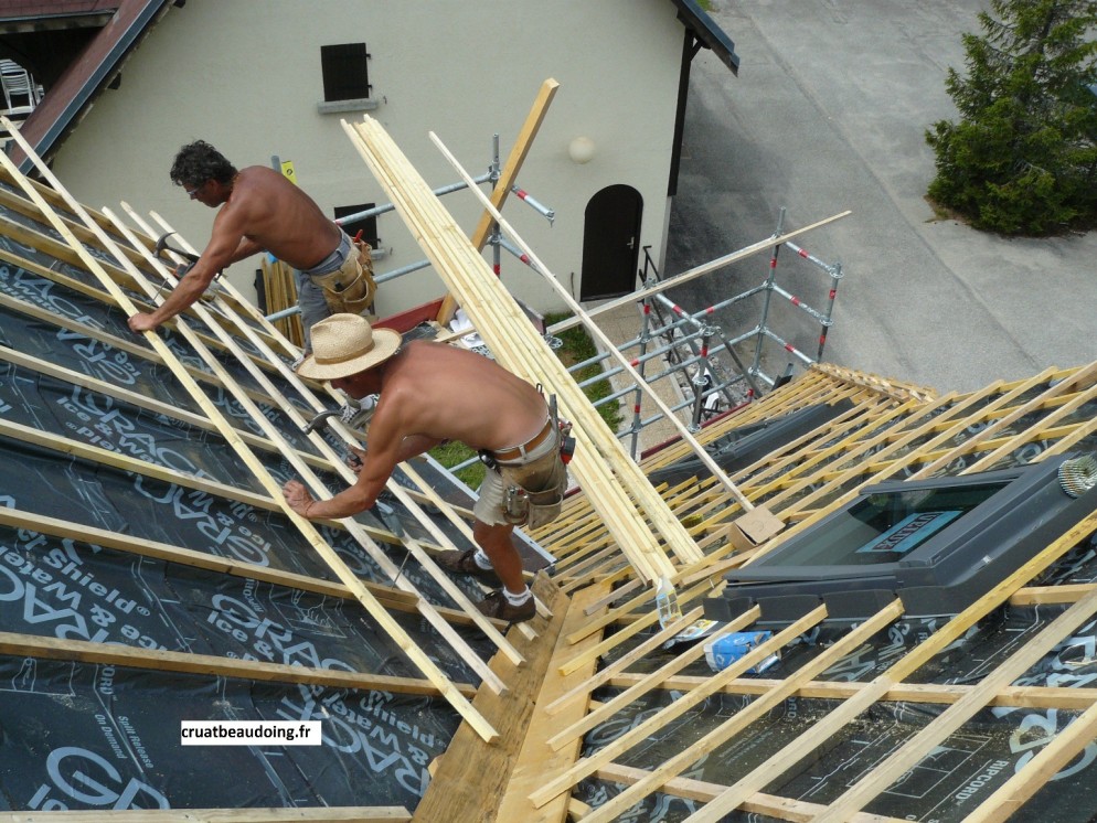 découvrez les différentes options de couverture de toit pour protéger votre maison tout en améliorant son esthétique. que ce soit pour une construction neuve ou une rénovation, trouvez le matériau idéal pour allier durabilité et style.