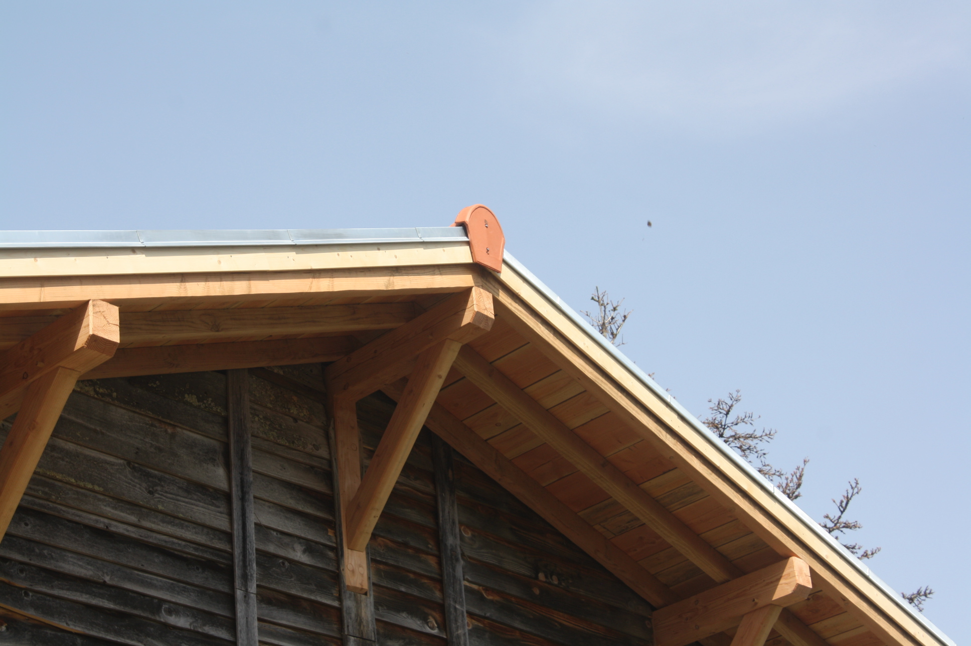 découvrez l'importance des débords de toit dans la protection de votre maison. apprenez comment ces éléments architecturaux contribuent à l'évacuation des eaux de pluie, à l'isolation thermique et à l'esthétique de votre habitation. profitez de nos conseils pour l'entretien et l'optimisation de vos débords de toit.