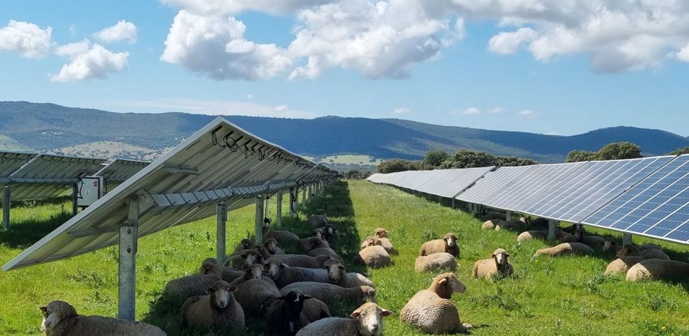 découvrez comment les agriculteurs relèvent le défi photovoltaïque pour optimiser leurs revenus tout en contribuant à la transition énergétique. explorez les solutions innovantes et les avantages de l'énergie solaire dans le secteur agricole.