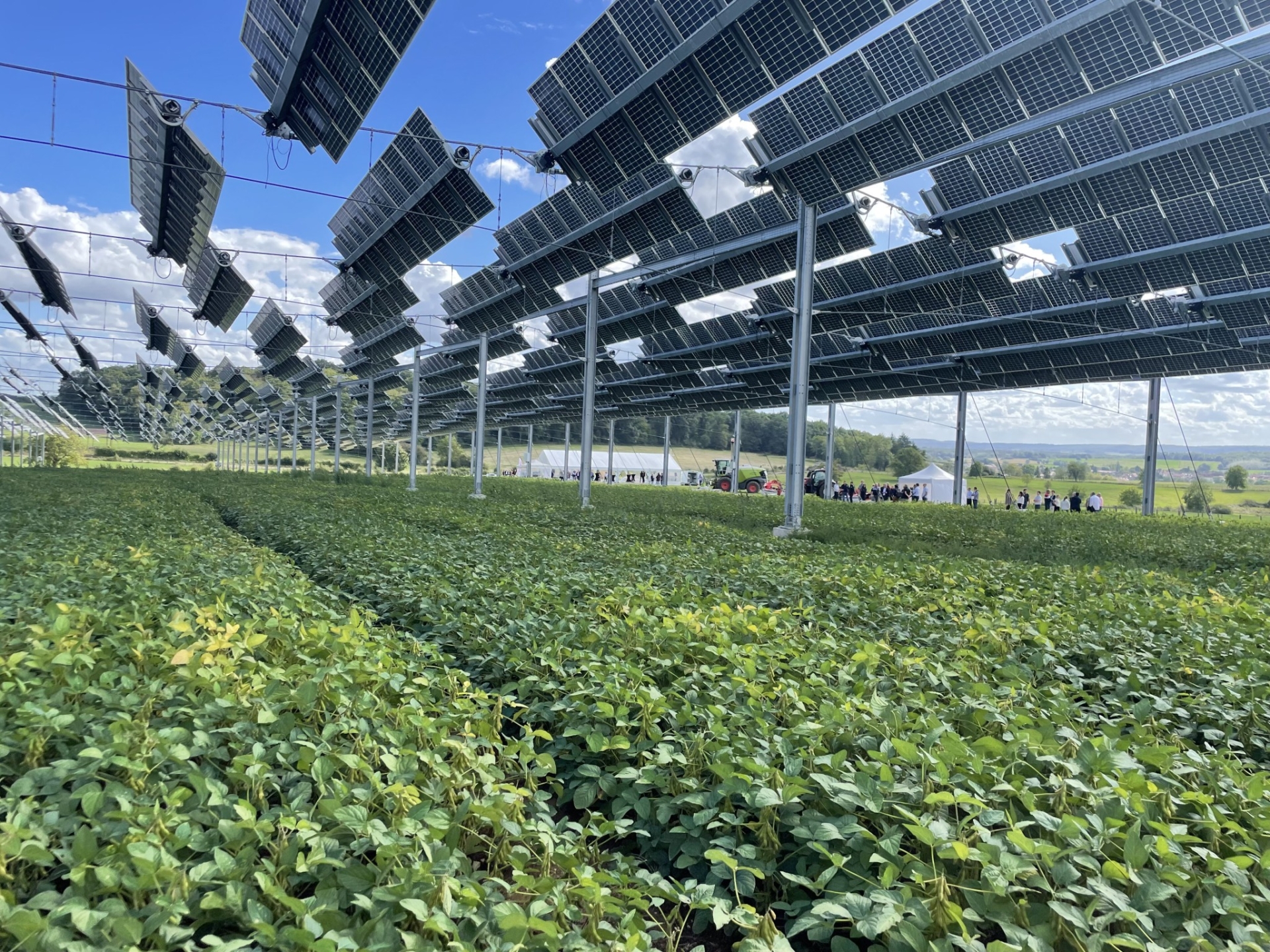 découvrez comment les agriculteurs relèvent le défi photovoltaïque en intégrant des solutions d'énergie solaire. apprenez les avantages économiques et environnementaux de l'énergie renouvelable pour les exploitations agricoles.