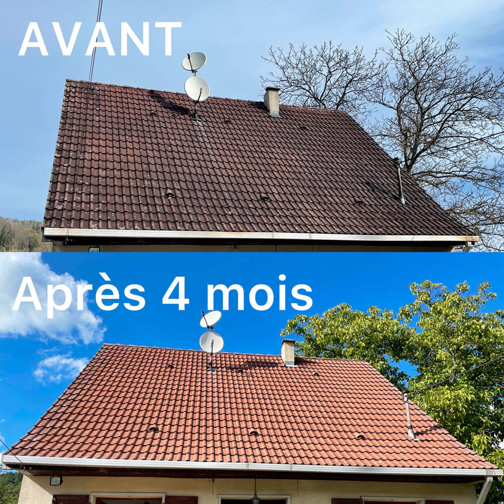 découvrez nos services professionnels de démoussage de toit pour prolonger la durée de vie de votre couverture. offrez à votre maison une protection contre les intempéries et redonnez-lui son éclat d'origine grâce à notre expertise.