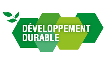 découvrez les enjeux et les pratiques du développement durable, une approche essentielle pour préserver notre planète tout en répondant aux besoins présents et futurs. explorez les initiatives écologiques, les énergies renouvelables et les solutions innovantes pour un avenir responsable.