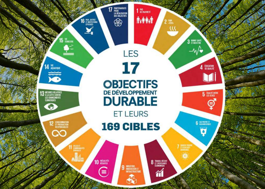 découvrez comment le développement durable façonne notre avenir avec des pratiques respectueuses de l'environnement. explorez des solutions innovantes, des initiatives écologiques et les moyens de contribuer à un monde plus durable.