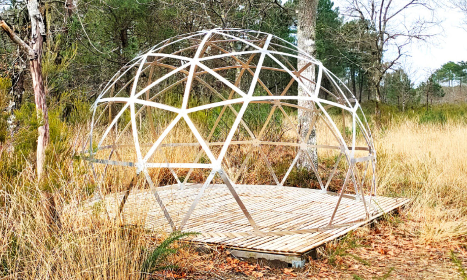 découvrez les mystères et l'élégance des dômes, ces structures majestueuses qui élèvent l'architecture à un nouveau niveau. explorez leur histoire, leur design et leurs applications modernes.