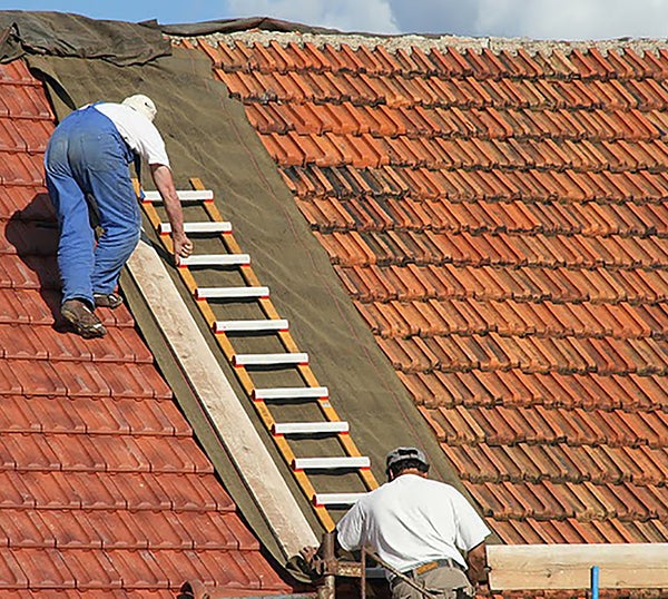découvrez notre sélection d'échelles spécialement conçues pour accéder en toute sécurité à votre toit. robustes et pratiques, nos échelles vous garantissent une montée facile et stable, idéales pour tous vos travaux en hauteur. explorez nos modèles pour un entretien optimal de votre toiture.