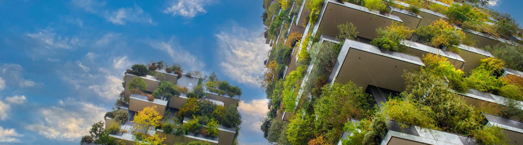 découvrez l'éco-construction durable, une approche innovante qui allie respect de l'environnement et construction responsable. apprenez à concevoir des bâtiments écologiques, économiser de l'énergie et utiliser des matériaux durables pour un avenir meilleur.