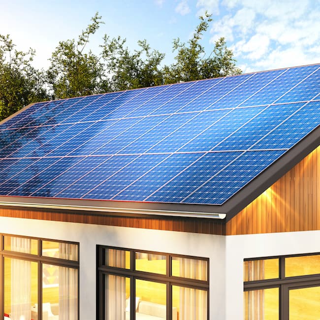 découvrez comment l'écologie et le photovoltaïque s'unissent pour offrir des solutions durables et respectueuses de l'environnement. explorez les avantages de l'énergie solaire, ses applications écologiques, et comment elle contribue à la lutte contre le changement climatique.