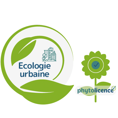 découvrez l'écologie urbaine, une approche innovante qui vise à harmoniser les villes avec leur environnement. explorez les stratégies durables pour améliorer la qualité de vie en milieu urbain, réduire l'empreinte carbone et favoriser la biodiversité. engagez-vous dans un avenir plus vert et résilient pour nos métropoles.
