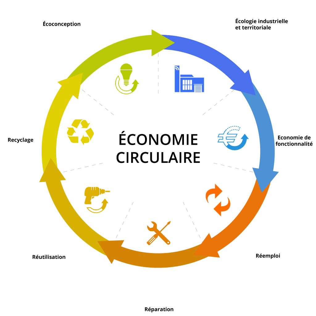 découvrez l'économie circulaire, un modèle durable qui favorise la réduction des déchets et la réutilisation des ressources. apprenez comment cette approche innovante transforme la manière dont nous consommons et produit, et comment elle peut contribuer à un avenir plus respectueux de l'environnement.