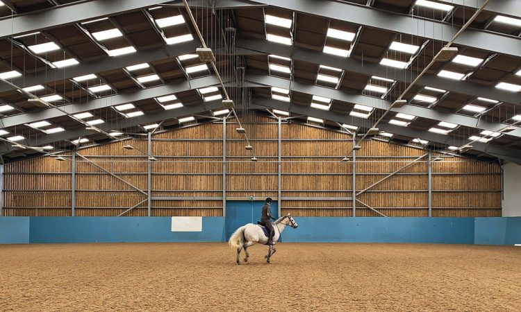 découvrez notre écurie photovoltaïque, un espace dédié à l'énergie solaire pour les passionnés de chevaux et de durabilité. alliez amour des animaux et respect de l'environnement en optant pour une solution innovante et écologique.