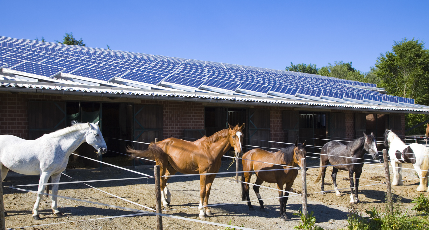 découvrez notre écurie photovoltaïque, où l'énergie solaire rencontre l'équitation. profitez d'une installation innovante qui soutient le bien-être de vos chevaux tout en réduisant votre empreinte carbone. adoptez une approche durable et respectueuse de l'environnement pour votre passion équestre.