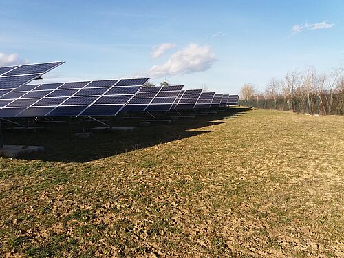 découvrez comment l'élevage bovin et les installations photovoltaïques peuvent cohabiter harmonieusement pour optimiser les ressources agricoles tout en contribuant à la transition énergétique. apprenez-en plus sur les pratiques durables et les avantages économiques de cette synergie.