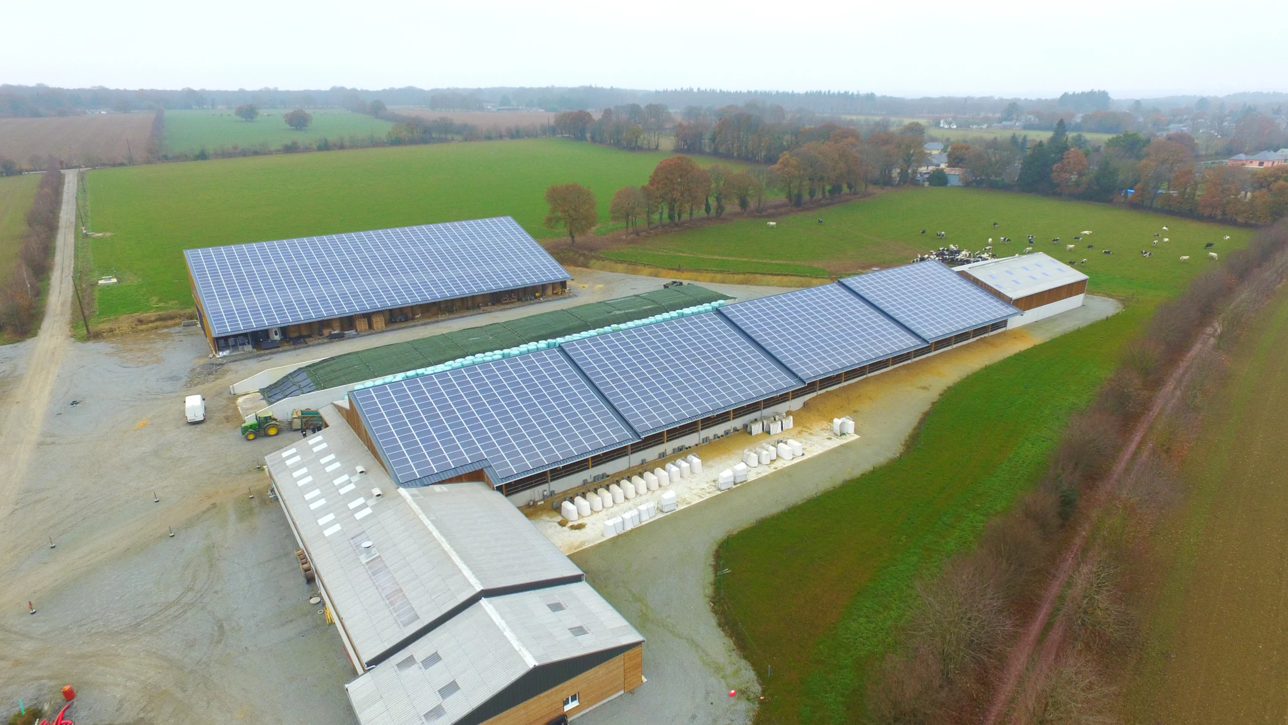 découvrez comment l'élevage bovin et les panneaux photovoltaïques peuvent coexister harmonieusement pour une agriculture durable et respectueuse de l'environnement. optimisez vos ressources tout en protégeant la biodiversité.