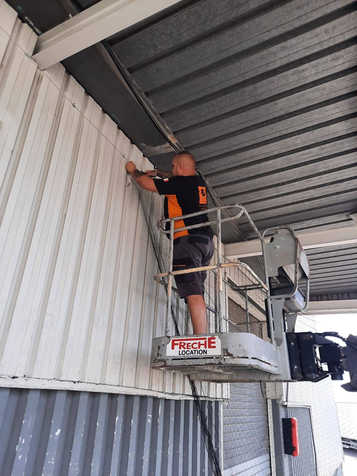 découvrez des méthodes efficaces et humanitaires pour éliminer les pigeons de votre toit. protégez votre maison des nuisances causées par ces oiseaux tout en respectant leur bien-être.