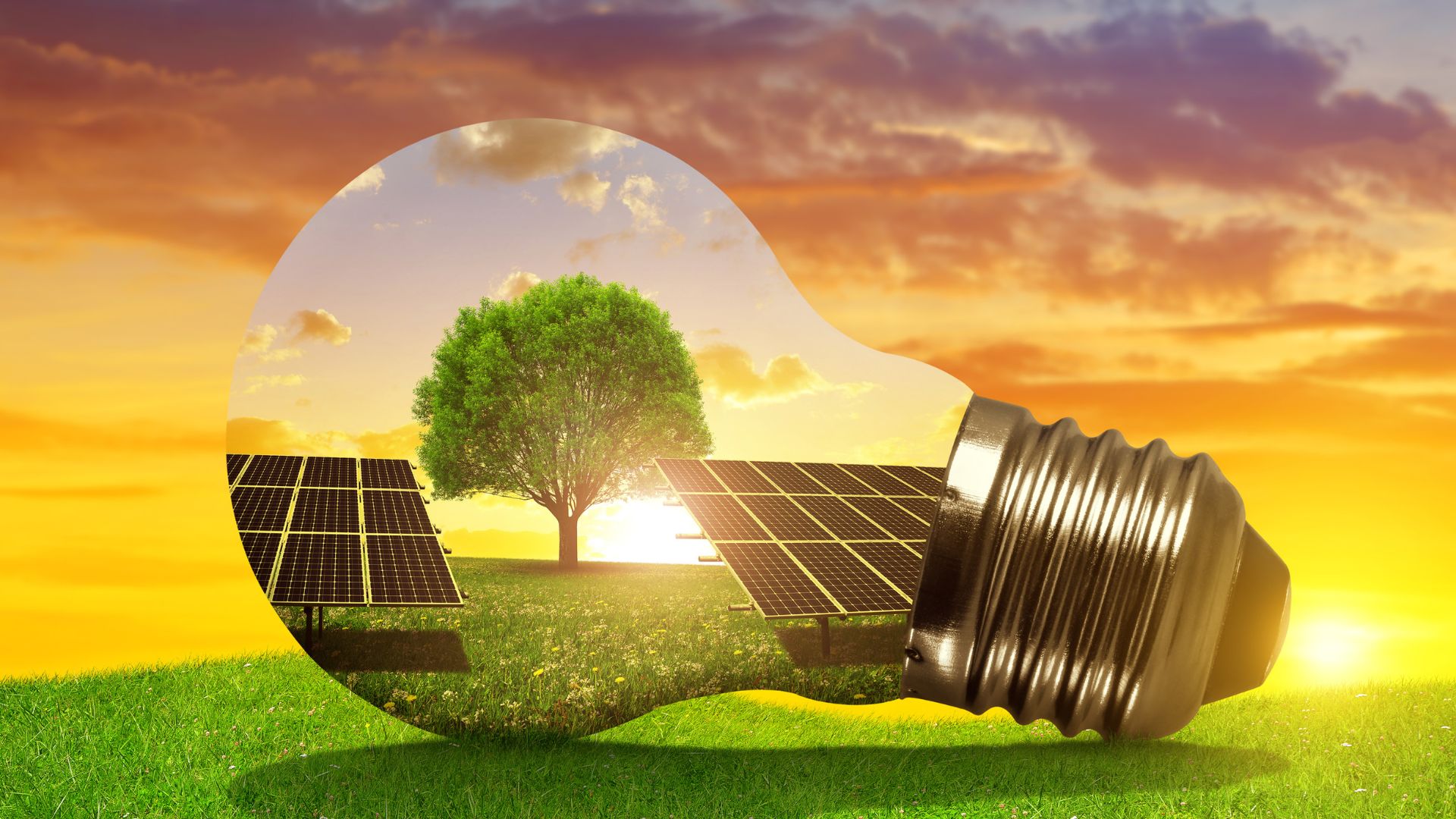 découvrez les solutions d'énergie durable grâce aux panneaux photovoltaïques. optez pour une énergie propre et renouvelable, réduisez votre empreinte carbone et faites des économies sur vos factures d'électricité avec notre expertise dans le domaine du photovoltaïque.