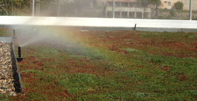 découvrez nos conseils et astuces pour l'entretien optimal de votre toit végétal. apprenez à maintenir la santé de vos plantes, à gérer l'irrigation et à préserver l'esthétique de votre espace vert tout en bénéficiant des avantages écologiques d'un toit végétalisé.