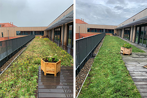 découvrez nos conseils d'experts pour l'entretien de votre toit végétal. assurez la santé de vos plantes, optimisez l'isolation de votre bâtiment et prolongez la durée de vie de votre toiture verte grâce à des astuces pratiques et des techniques adaptées.