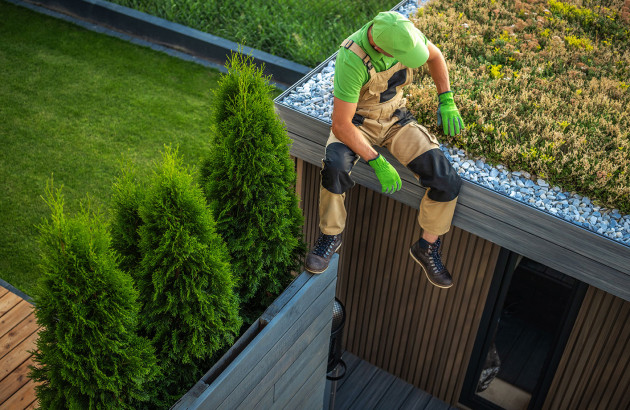 découvrez l'importance de l'entretien d'un toit végétal pour assurer sa durabilité et son esthétique. apprenez les méthodes efficaces pour préserver cet espace écologique tout en profitant des bienfaits environnementaux qu'il procure.