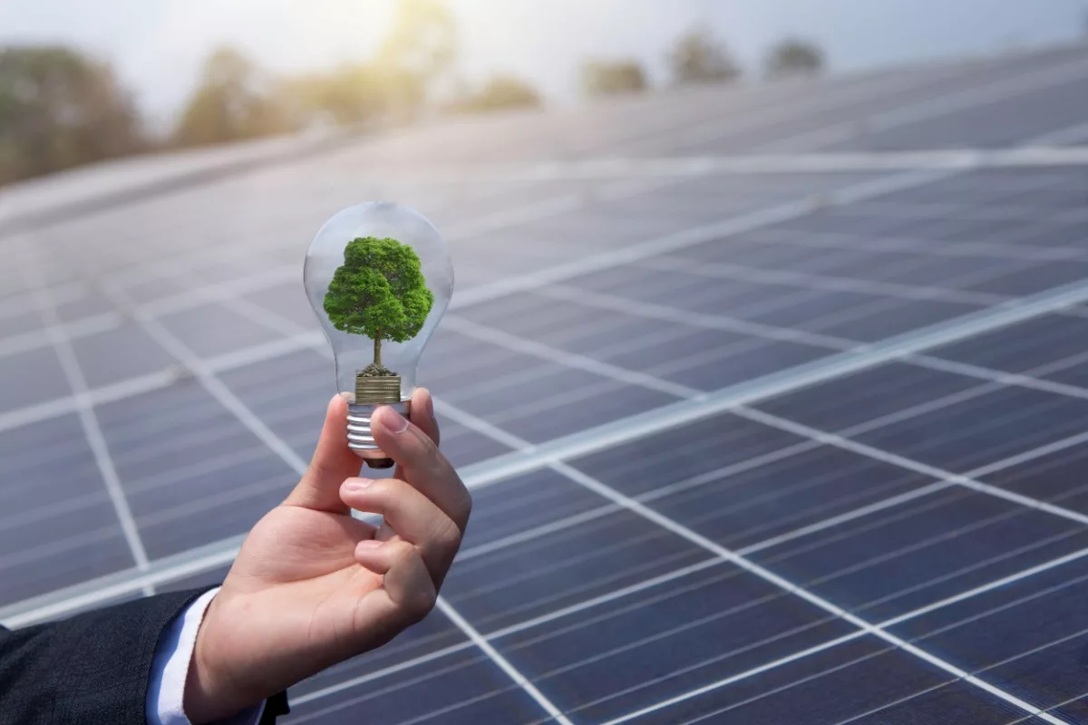 découvrez nos conseils et astuces pour faciliter la mise en place de votre projet de panneaux solaires. optimisez votre installation, réduisez vos coûts et profitez des énergies renouvelables pour un avenir durable.