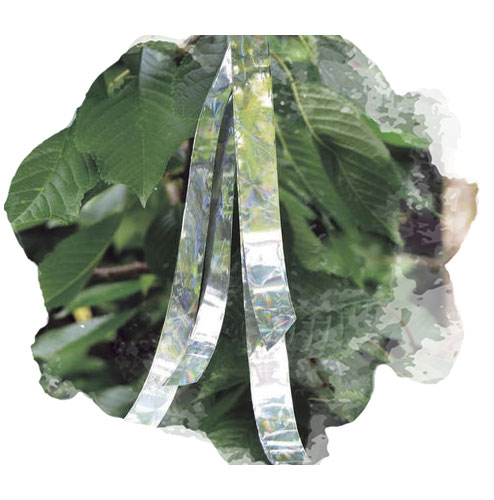 découvrez des solutions efficaces pour faire fuir les oiseaux de votre toiture. protégez votre maison des nuisances et des dégâts causés par leur présence avec nos conseils pratiques et astuces.