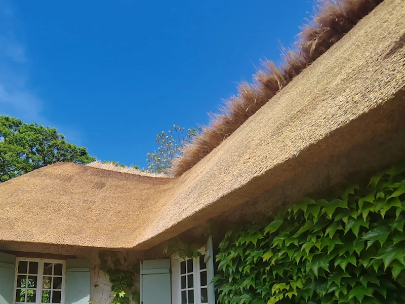 découvrez comment créer vous-même un toit en chaume pour votre maison grâce à notre guide étape par étape. apprenez les techniques, les matériaux nécessaires et les astuces pour réussir votre projet de toiture tout en ajoutant une touche esthétique et naturelle à votre habitation.