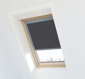 découvrez notre fenêtre de toit adaptable, la solution idéale pour maximiser la lumière naturelle dans votre espace. facile à installer et personnalisable, elle s'intègre parfaitement à tous les types de toits, tout en offrant une isolation et une ventilation optimales. transformez votre maison avec style et confort grâce à notre gamme innovante.