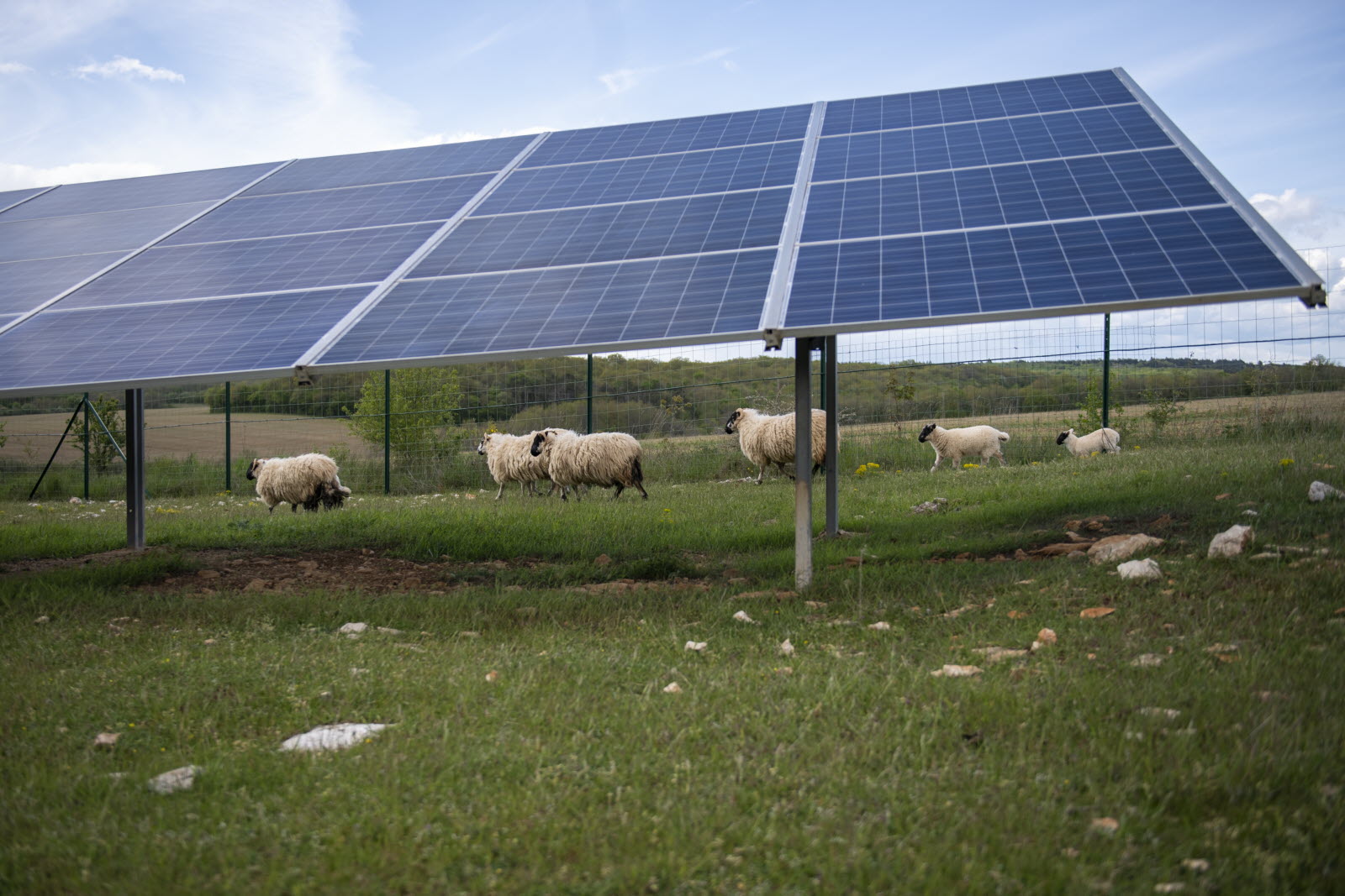 découvrez comment les fermes solaires intégrées aux terres agricoles transforment l'agriculture durable. alliez production énergétique et préservation des ressources, tout en optimisant l'utilisation des sols. explorez l'avenir de l'agriculture avec les solutions solaires innovantes!