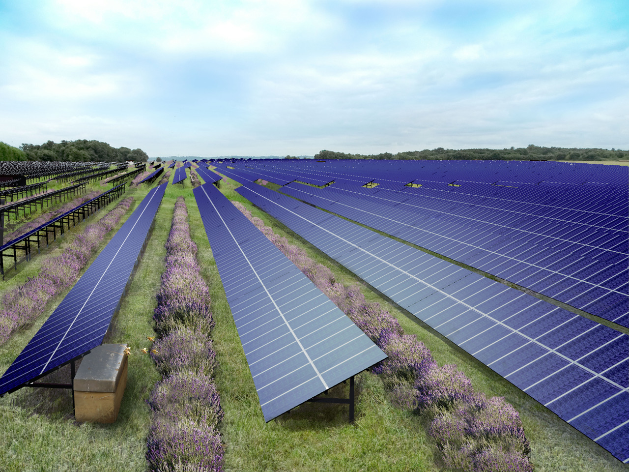 découvrez le forum photovoltaïque agricole, un espace d'échange dédié aux agriculteurs et professionnels du secteur pour partager des idées, des expériences et des solutions sur l'intégration des panneaux solaires dans l'agriculture. rejoignez-nous pour explorer les avantages économiques et environnementaux de l'énergie solaire!