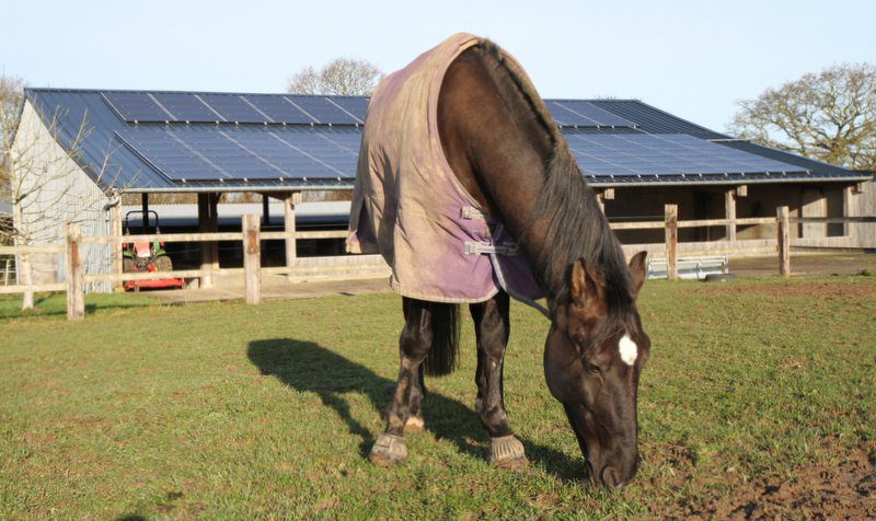 découvrez les avantages du fourrage sous toit photovoltaïque, une solution innovante qui combine agriculture durable et énergie solaire. optimisez votre production tout en réduisant votre empreinte carbone grâce à cette méthode éco-responsable.