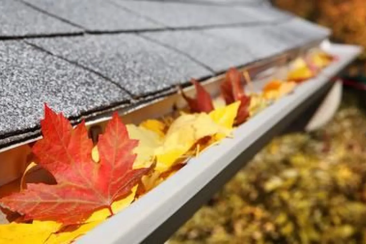 découvrez notre guide complet sur les gouttières de toit : types, matériaux, installation et entretien. assurez la protection de votre maison contre les infiltrations d'eau et prolongez la durée de vie de votre toiture grâce à nos conseils d'experts.